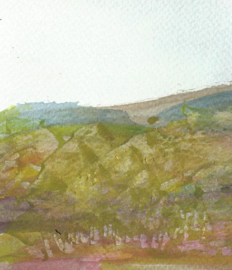 fragment de paisatge