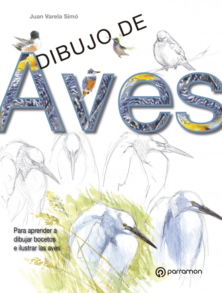 dibujo aves varela