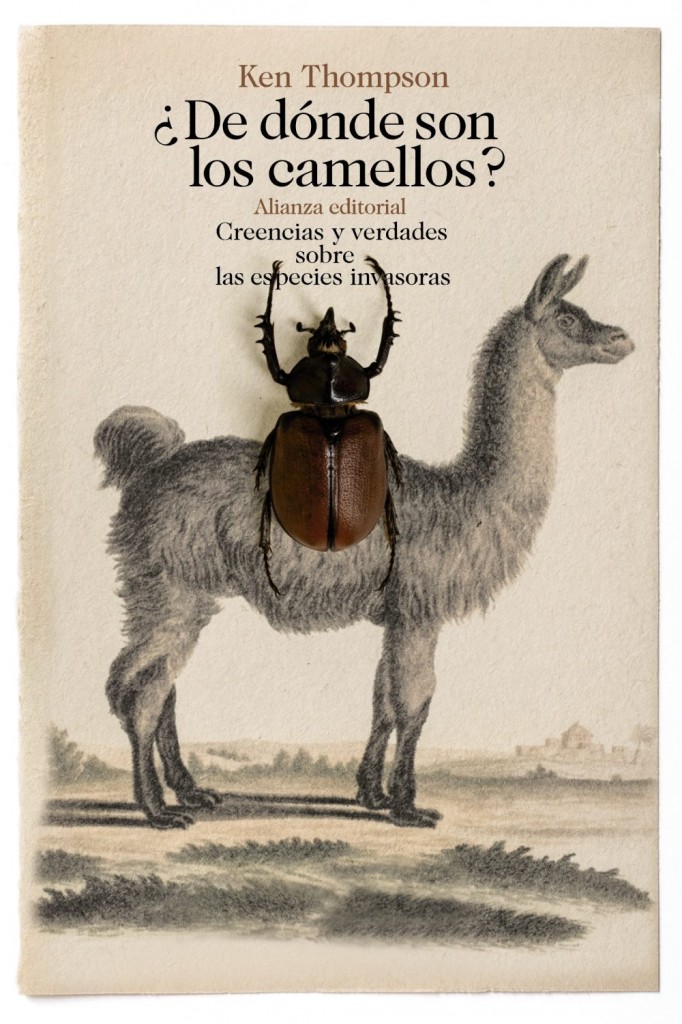 camellos