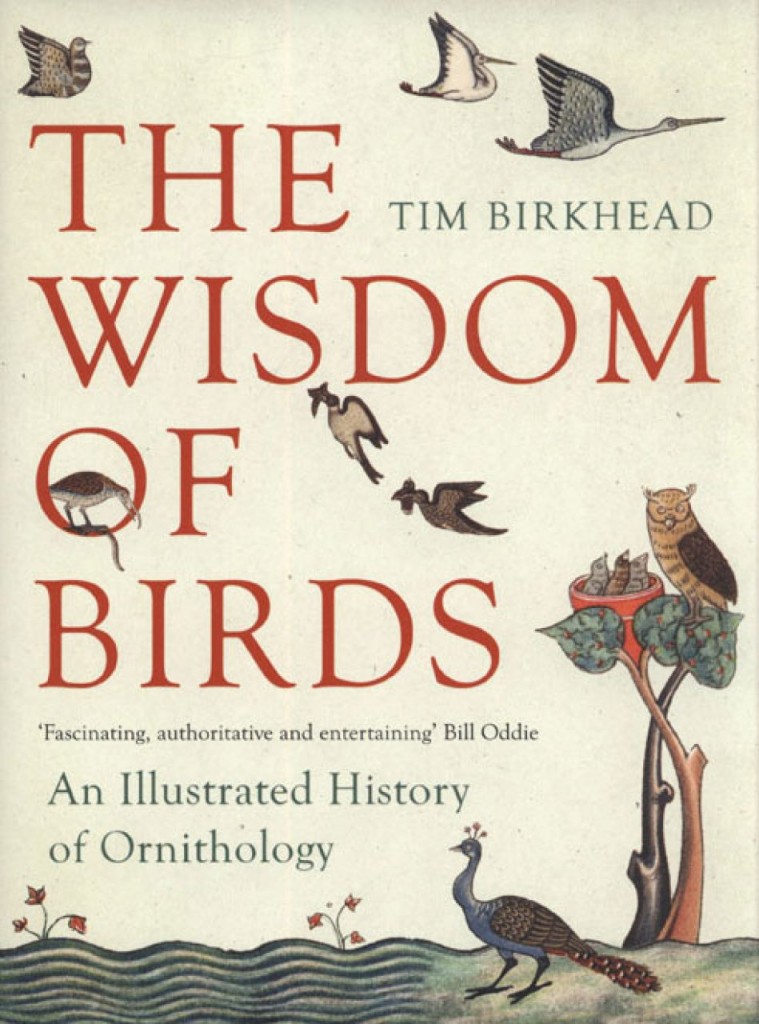 wisdom birds