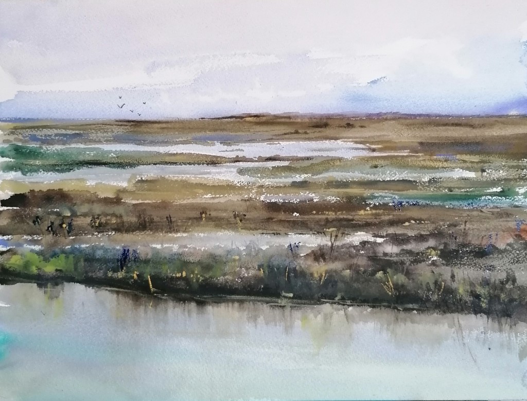 albufera 2 setembre 2023