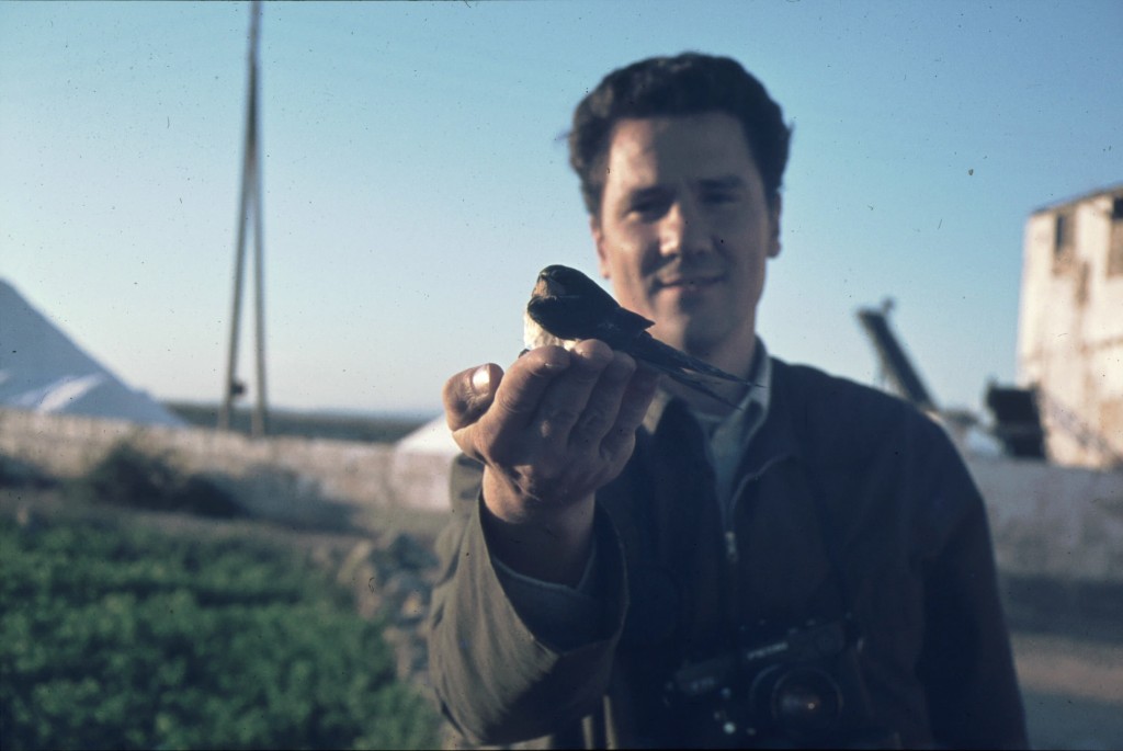 1974-10-08  Operació oronella al Salobrar de Campos