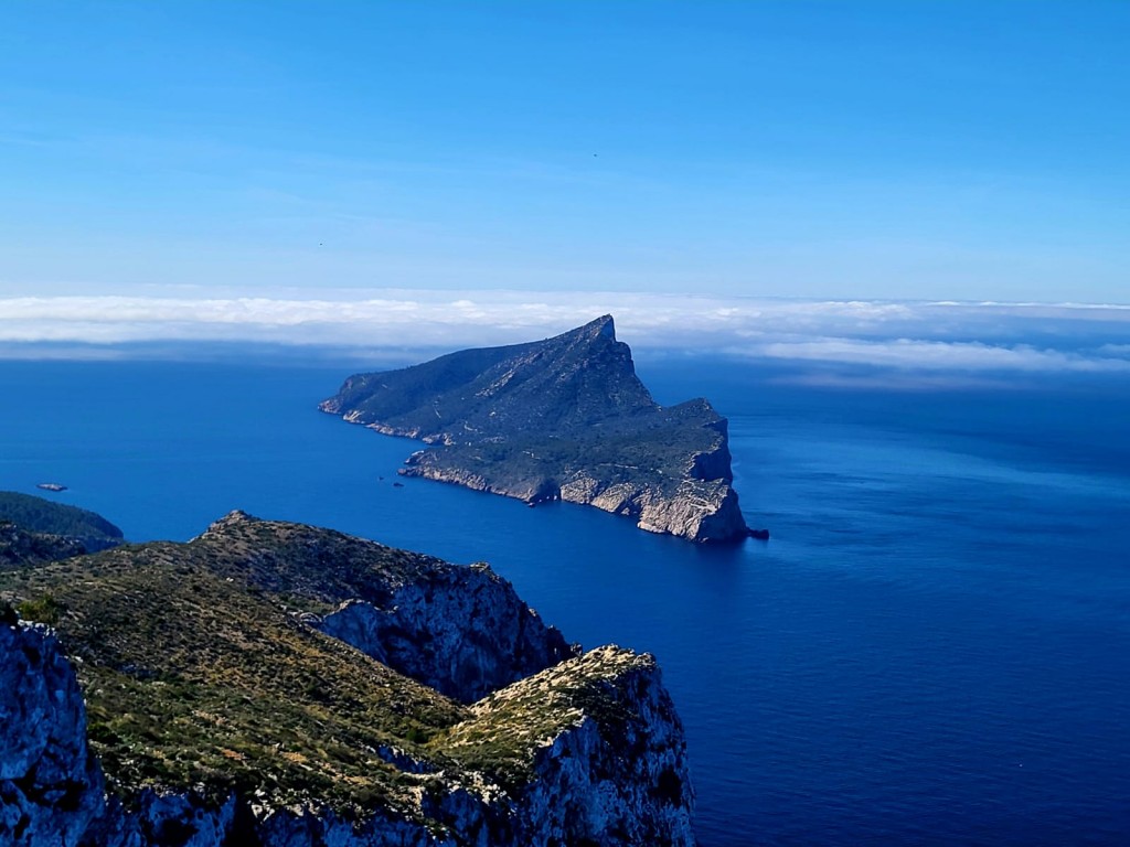 dragonera 23 febrer 2026