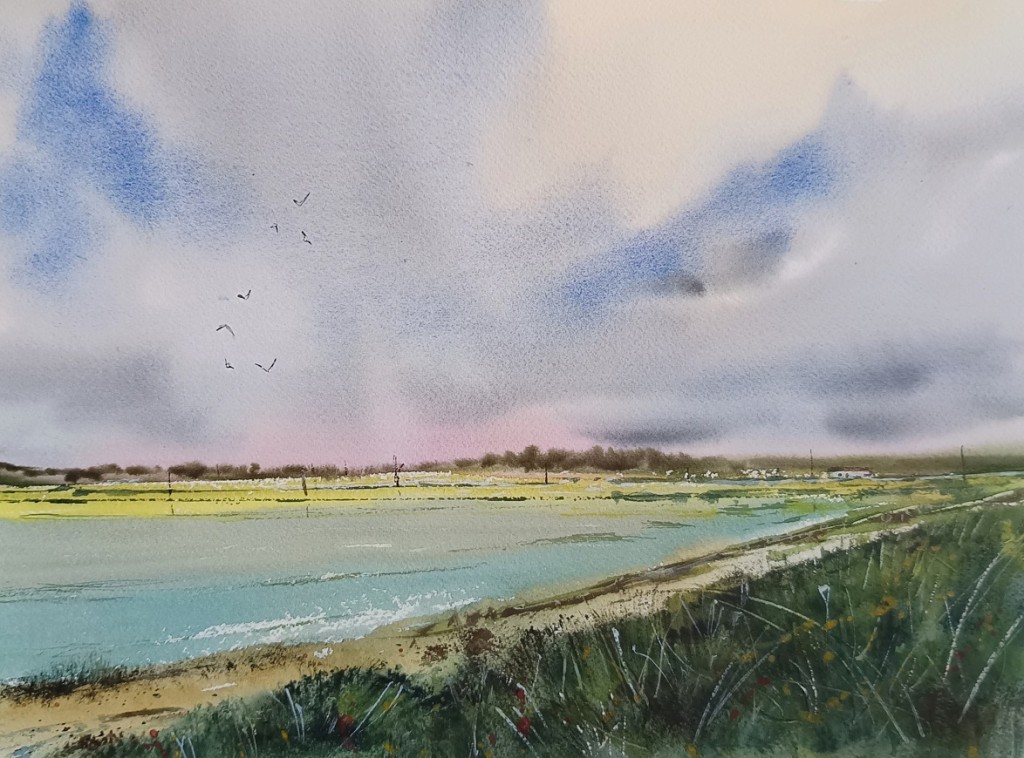 Delta de l'Ebre 01