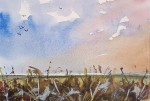 IMG_20260605_170635