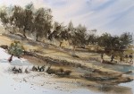 IMG_20260812_131145