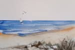 IMG_20260917_192141